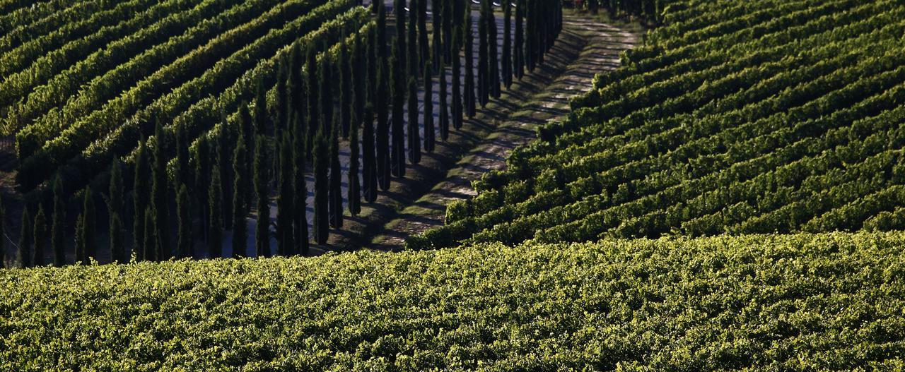 Villa Poggio al Casone Crespina Esterno foto